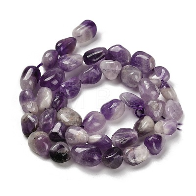 Natural Chevron Amethyst Beads Strands G-P497-01E-84-1