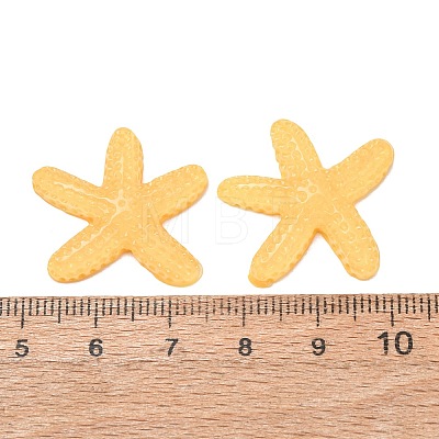 Transparent Resin Cabochons RE-CBA49A8-05-1
