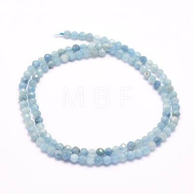 Natural Aquamarine Beads Strands G-F509-10-3mm-1
