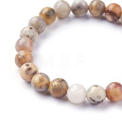 Natural Crazy Agate Beads Stretch Bracelets BJEW-F380-01-B06-1