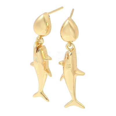 Brass Dangle Earrings EJEW-D352-06G-01-1