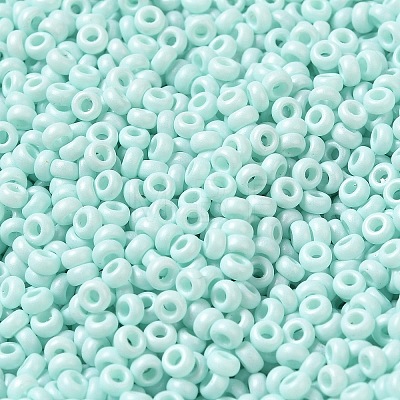 Baking Paint Glass Seed Beads SEED-P006-03A-29-1