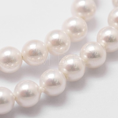 Shell Pearl Beads Strands X-BSHE-L025-01-6mm-1