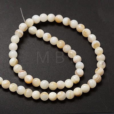 Natural Freshwater Shell Round Bead Strands X-SHEL-M013-01-1