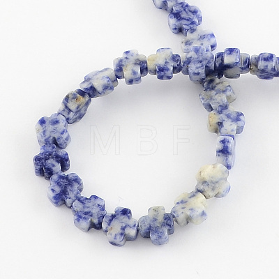 Natural Blue Spot Jasper Beads Strands G-R182-10-1