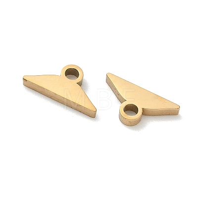 304 Stainless Steel Charm STAS-P433-12A-G-1