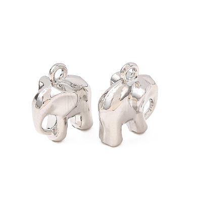 Alloy Charms AL-CBA3036-05P-1