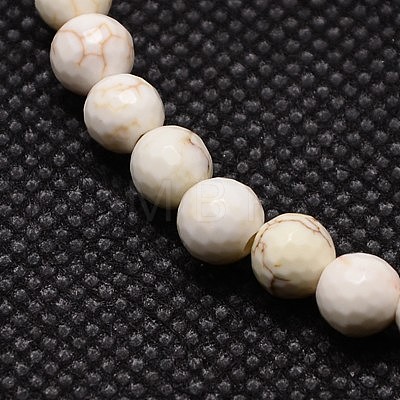 Natural Magnesite Beads Strands TURQ-L017-10mm-02A-1