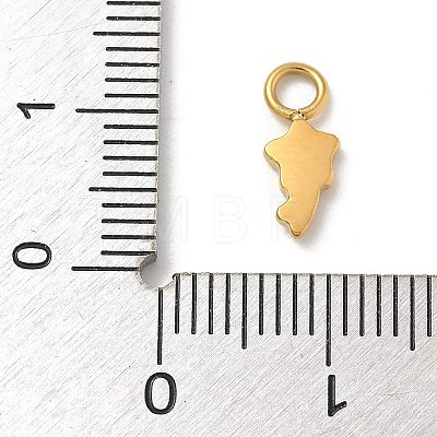 Ion Plating(IP) 304 Stainless Steel Enamel Charms STAS-G351-06G-02-1