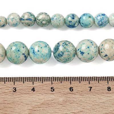 Natural Fossil Graduated Beads Strands G-F830-A03-01E-1