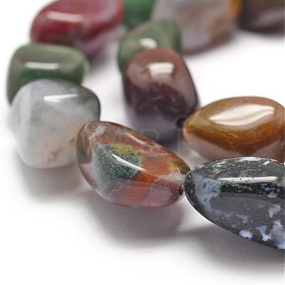 Natural Indian Agate Beads Strands G-P301-14-1