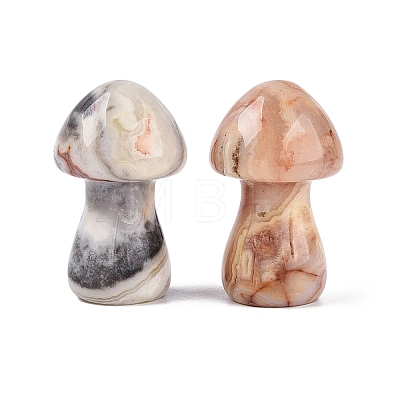Natural Crazy Agate Mushroom Display Decorations G-Q602-03O-1