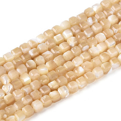 Natural Trochid Shell/Trochus Shell Beads Strands SSHEL-N041-04A-02-1