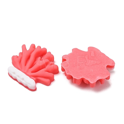 Opaque Resin Cabochons RE-CBA49A8-06-1