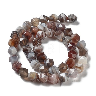 Natural Botswana Agate Beads Strands G-NH0002-C01-02-1