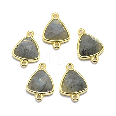 Natural Labradorite Links connectors G-O177-16E-G-1