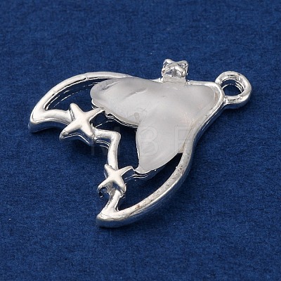 Rack Plating Alloy Resin Pendants FIND-Q116-02S-02-1