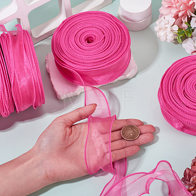 Polyester Mesh Ribbons SRIB-TAC0002-28B-03-1-1
