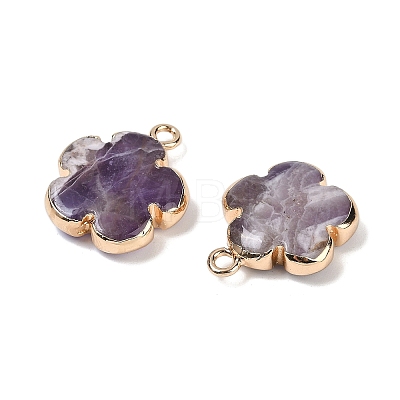 Natural Amethyst Pendants G-P566-01G-04-1