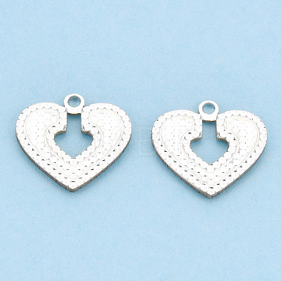 925 Sterling Silver Charms STER-T006-06-1