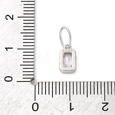 925 Sterling Silver Cubic Zirconia Charms STER-NH0014-01P-04-1