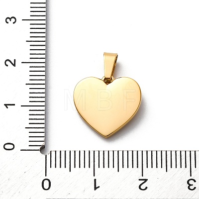 304 Stainless Steel Charms STAS-U043-18G-1