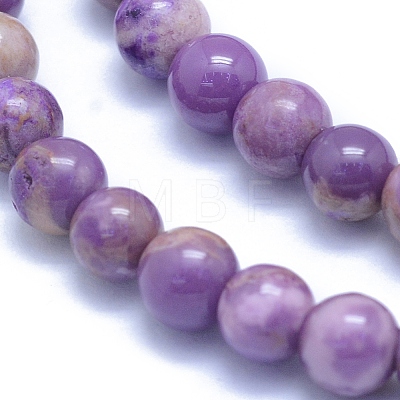 Natural Lepidolite/Purple Mica Stone Beads Strands G-L552H-09A-1
