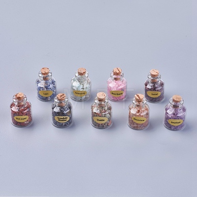 Bottles of Natural Gemstone Chip Beads G-S049-2-B-1