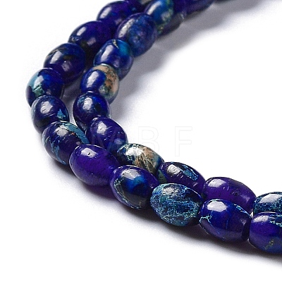Natural Imperial Jasper Beads Strands G-C034-05B-1