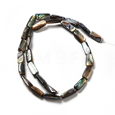 Natural Paua Shell Beads Strands SHEL-G014-09-1