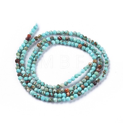 Natural Howlite Beads Strands X-TURQ-F017-01A-1