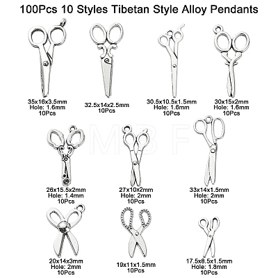 100Pcs 10 Styles Tibetan Style Alloy Pendants TIBEP-CJ0002-36-1