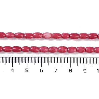 Natural Howlite Beads Strands G-K362-I07-01-1