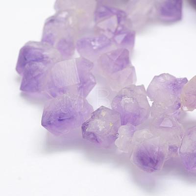 Natural Amethyst Beads Strands G-P322-09-1