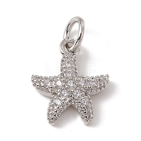 Brass Micro Pave Cubic Zirconia Charms X-ZIRC-F132-13P-1