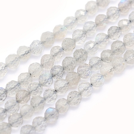 Natural Labradorite Beads Strands G-O166-22-3mm-1