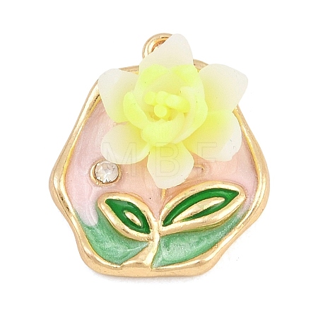 Alloy Enamel Pendants RB-CBA01F2-01G-D-1