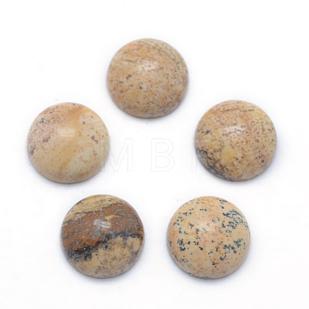Natural Picture Jasper Cabochons G-P393-R51-8MM-1
