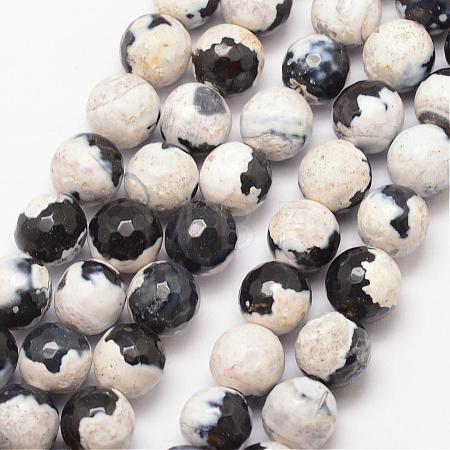 Natural Fire Crackle Agate Bead Strands G-K166-06F-10mm-12-1