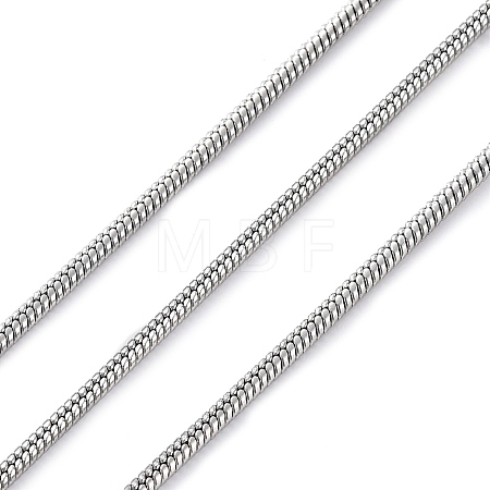 304 Stainless Steel Round Snake Chains CHS-M009-01P-02-1