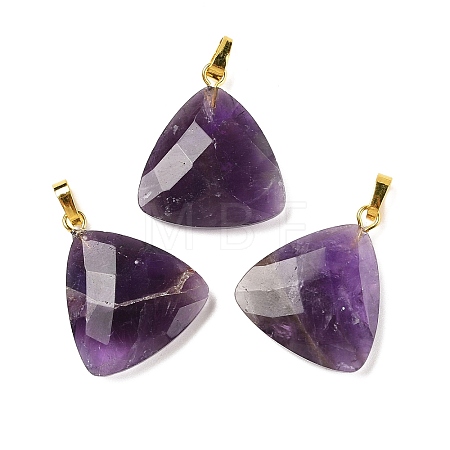 Natural Amethyst Pendants G-L614-D04-G01-1
