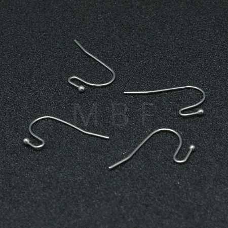 Tarnish Resistant 304 Stainless Steel Earring Hooks STAS-G140-73P-1
