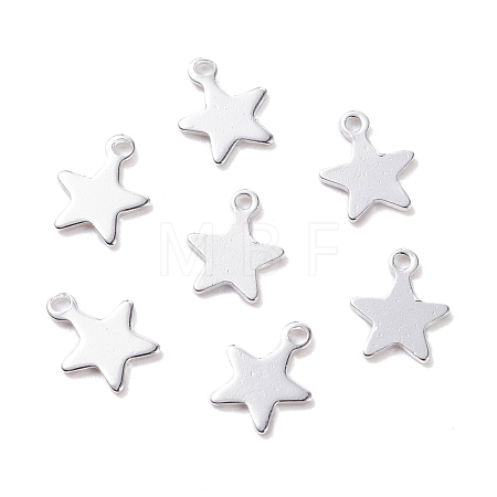 304 Stainless Steel Charms STAS-H436-51S-1