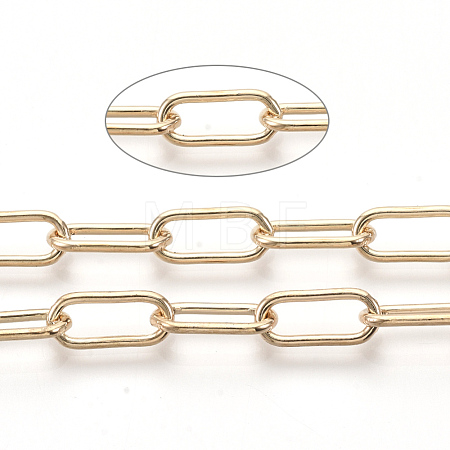 Unwelded Iron Paperclip Chains CH-S125-09A-LG-1