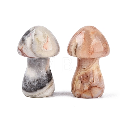 Natural Crazy Agate Mushroom Display Decorations G-Q602-03O-1