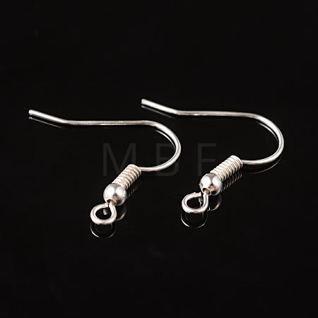 Brass Earring Hooks EC135Y-S-1