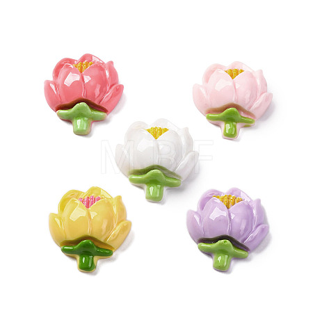 Opaque Resin Cabochons RESI-R455-01A-1