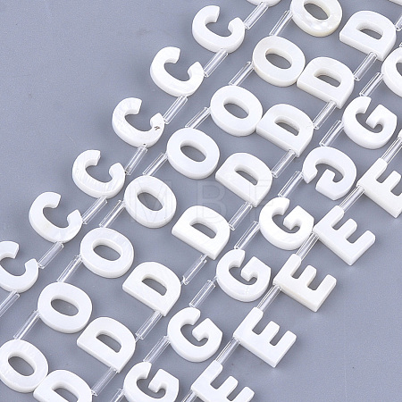 Natural Freshwater Shell Beads SHEL-T012-59-1