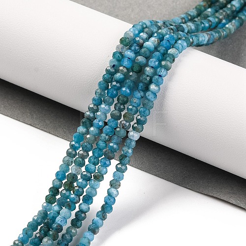 Natural Apatite Beads Strands G-F770-D09-02B-1