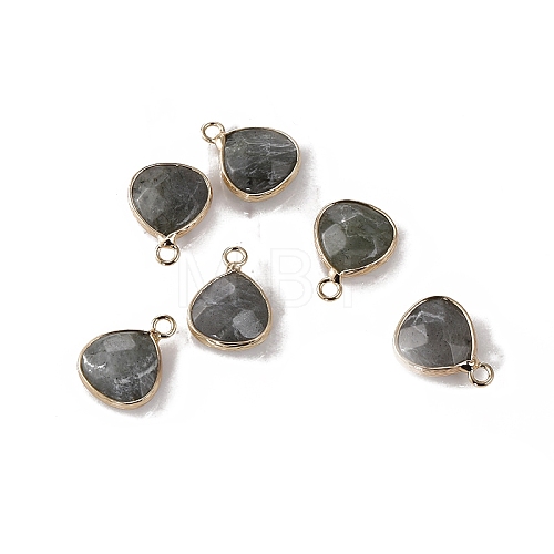 Natural Labradorite Faceted Pendants PW-WG413D9-07-1